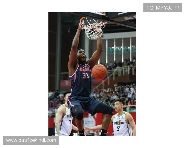 《辽宁体育直播：实时赛事动态与精彩回放，尽在掌握》